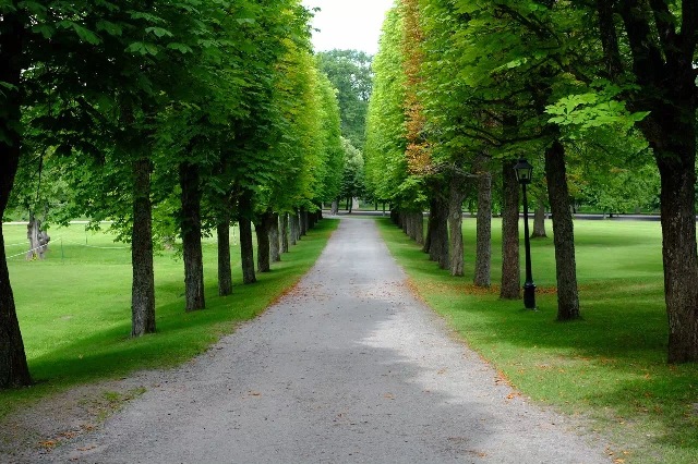 europe-swd-2015-08-17-palace02